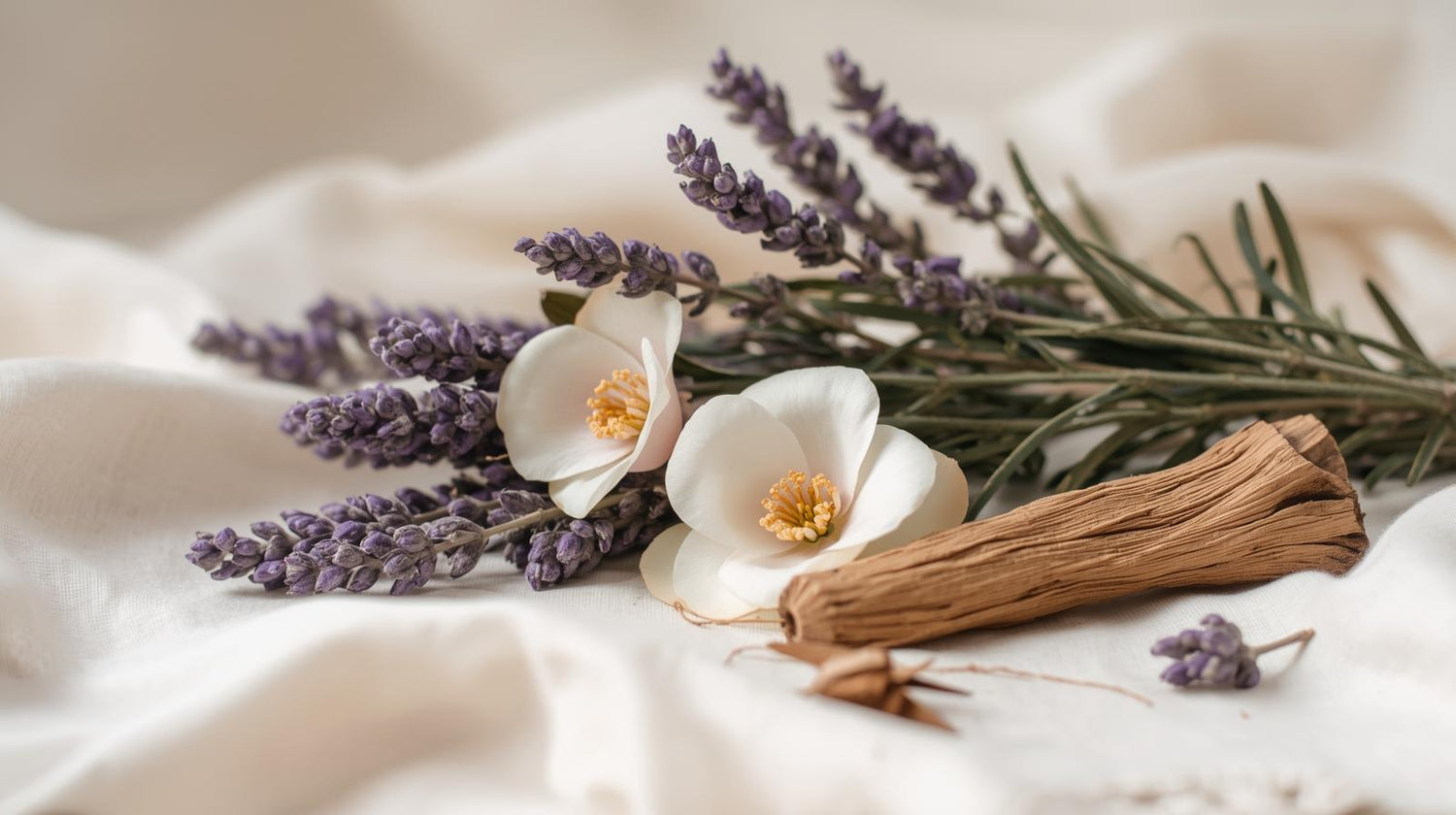 AmoíMé Organics – Your Ritual of Renewal, luxury organic skincare inspired by botanicals